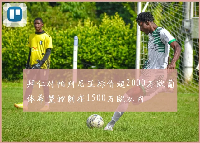 拜仁对帕利尼亚标价超2000万欧葡体希望控制在1500万欧以内